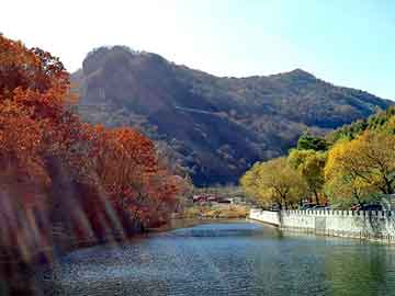 新澳天天开奖资料大全旅游团，火凤燎原小说